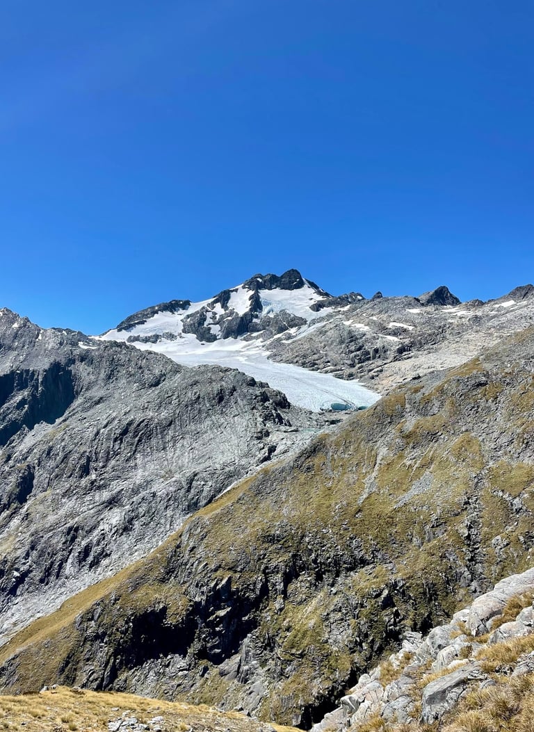 Brewster Glacier desde Brewster Hut