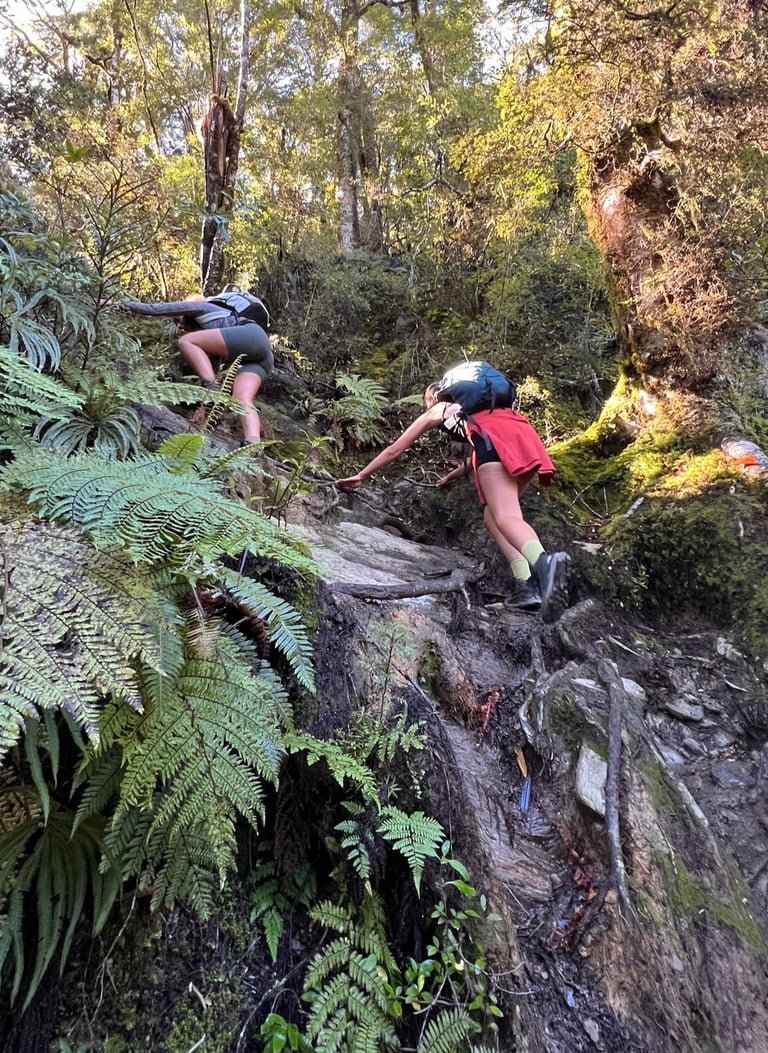 Subida por el bosque a Brewster hut