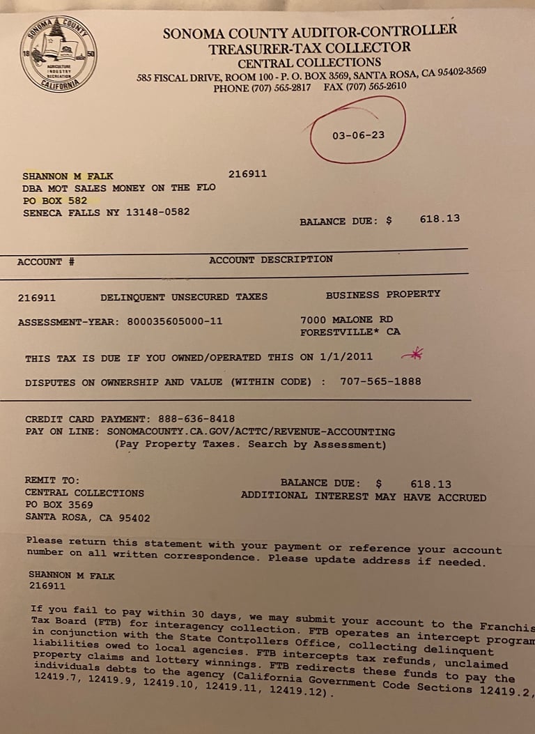 Michael Falk committing rampant Sonoma County Fraud