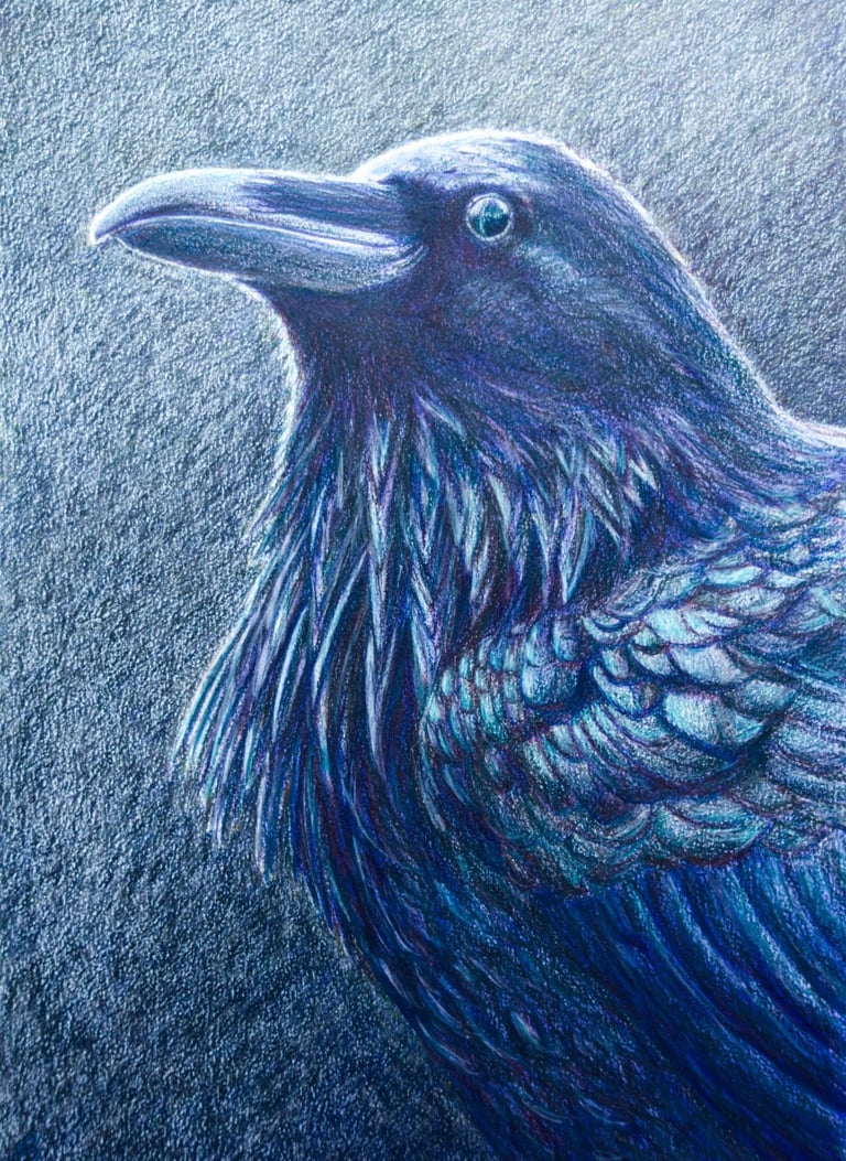 a drawing of a raven in purples and teals on a gray background