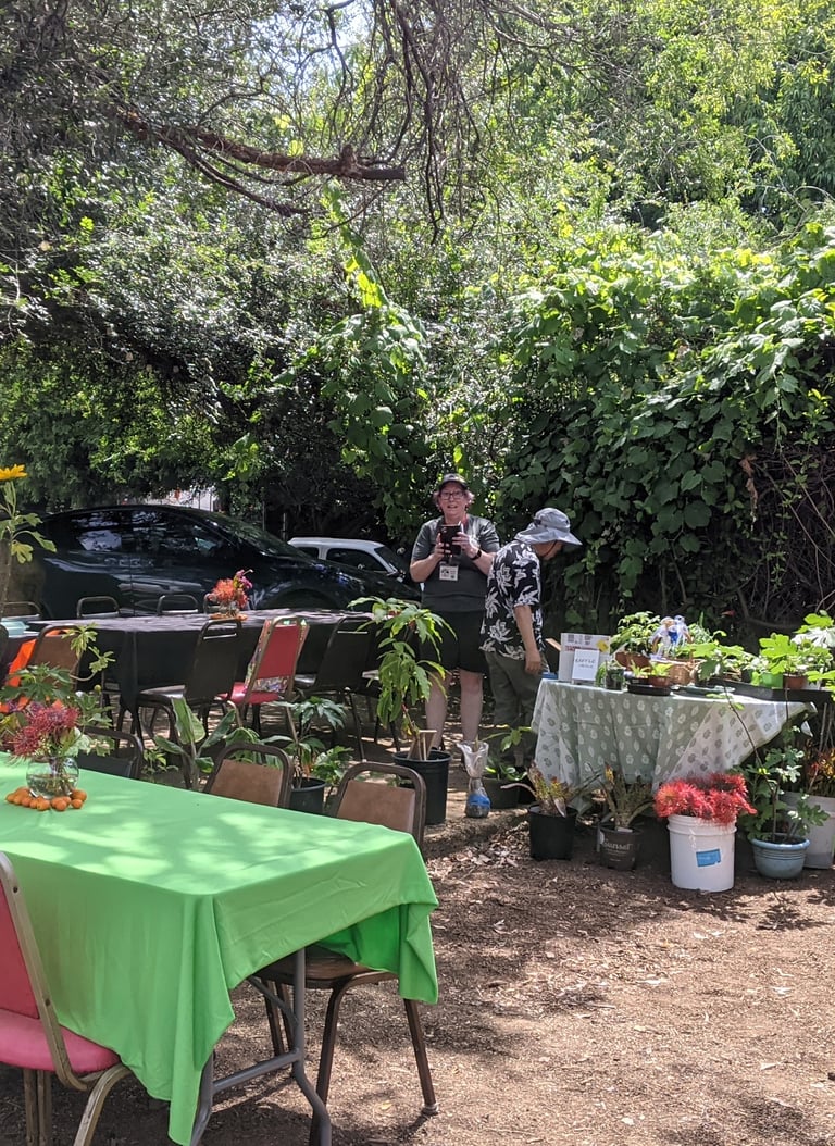 People setting up an outdoor event with tables, chairs and potted plants