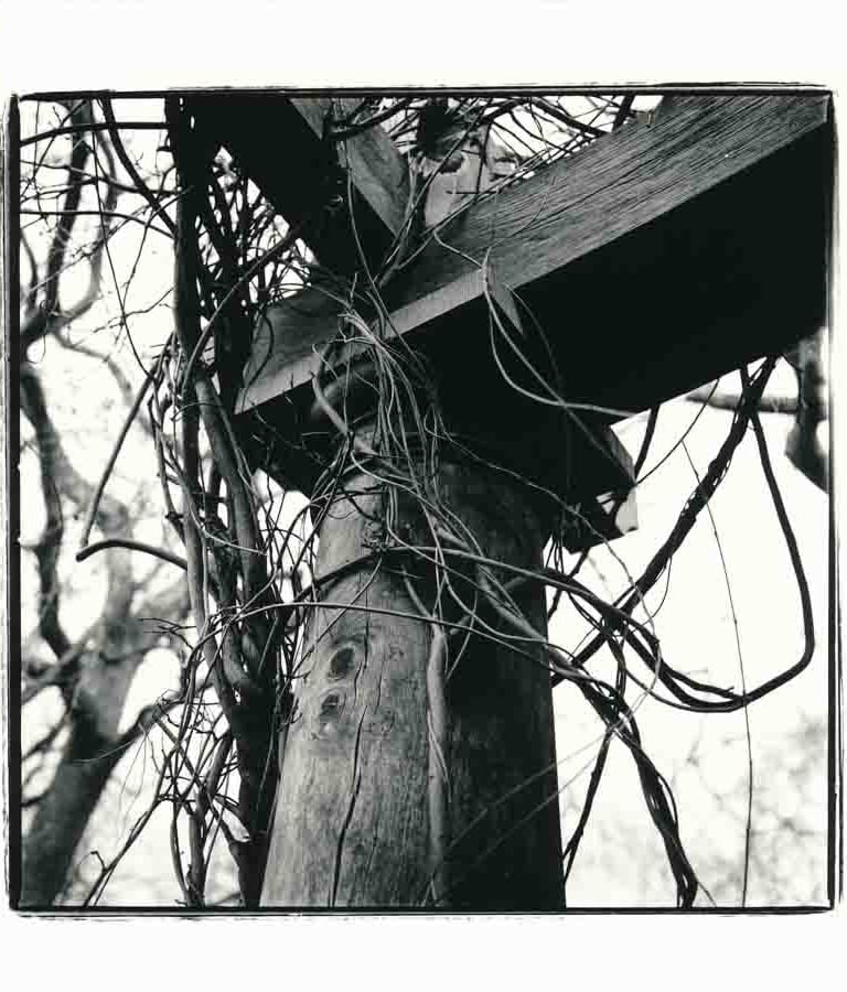 A wooden pilar in a garden in London