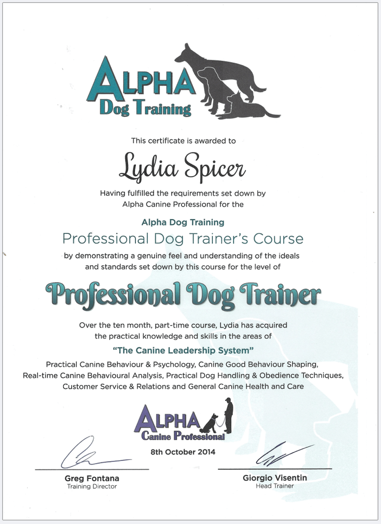 Lydia Spicer Professional Dog Trainer Certificate
