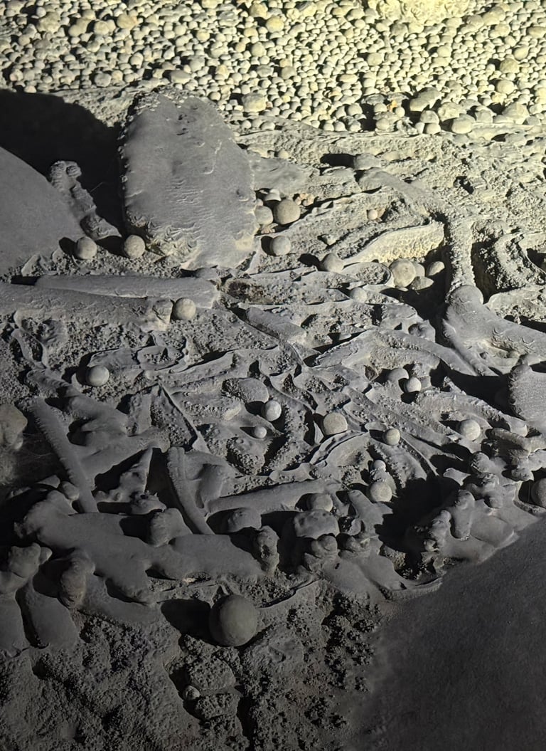 Petrified bear bones near to the exit of hang son doong cave, Vietnam