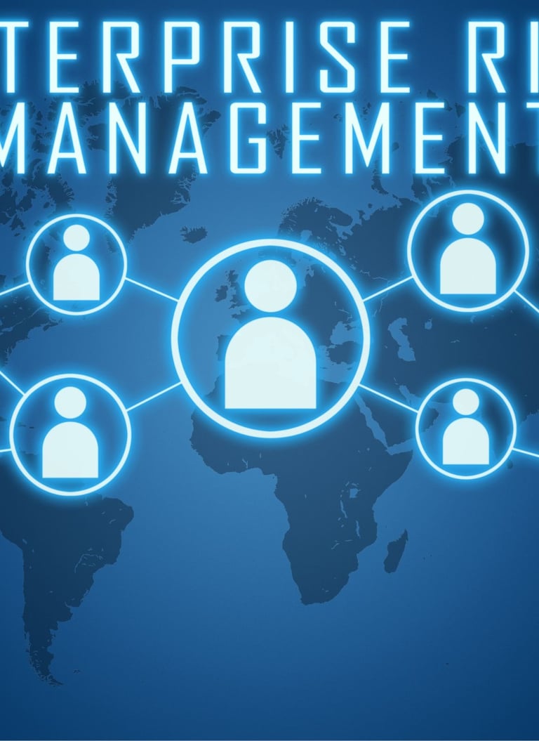Enterprise Risk Management: Building Resilience in Government Operations