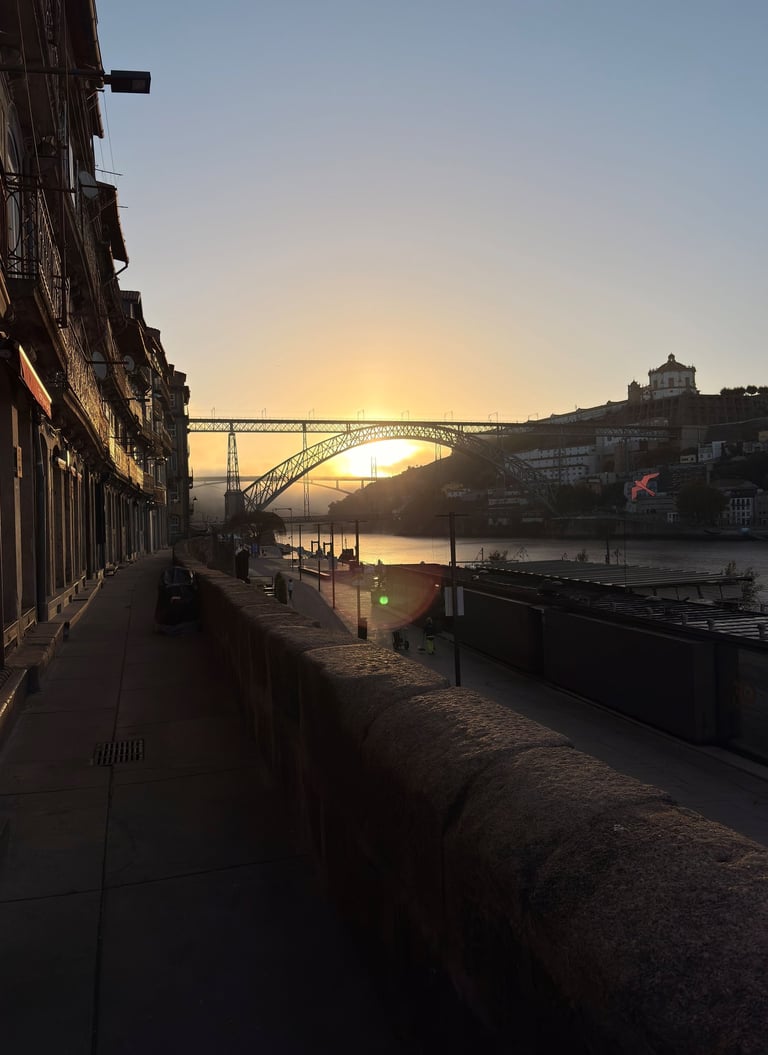 Pont Dom Luis I