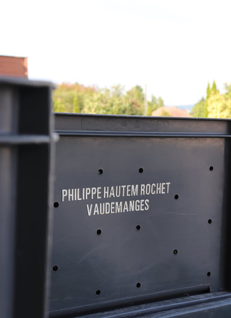 Caisse de Vendanges du Champagne Philippe Hautem
