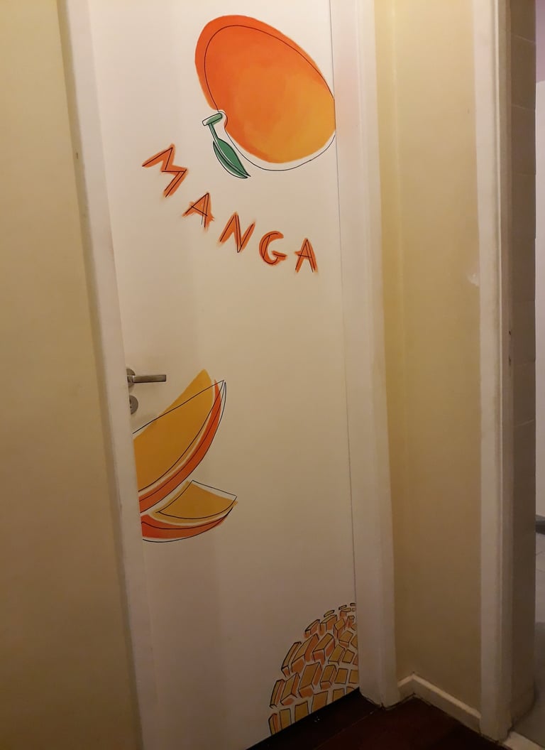 fresque porte hostel brésil