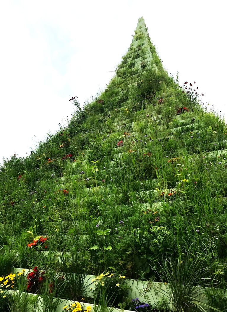 instalação Agnes Denes