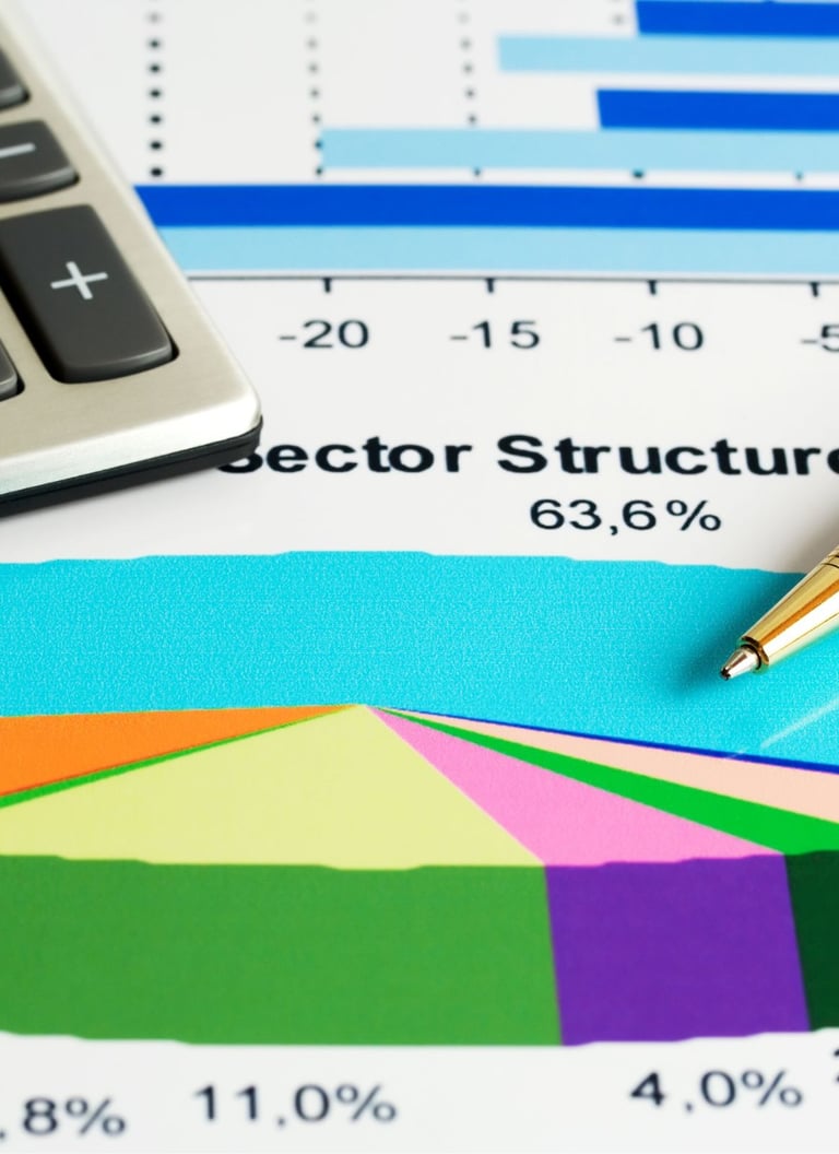 Public Sector Accounting 101: A Practical Course for Non-Accountants
