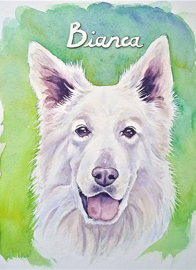 portrait aquarelle d'une chienne
