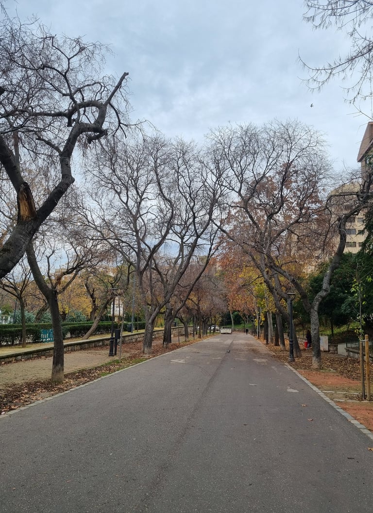 Jaen centro l Asociación de vecinos. Paseo de las Bicicletas en Parque de la Concordia. Victoria