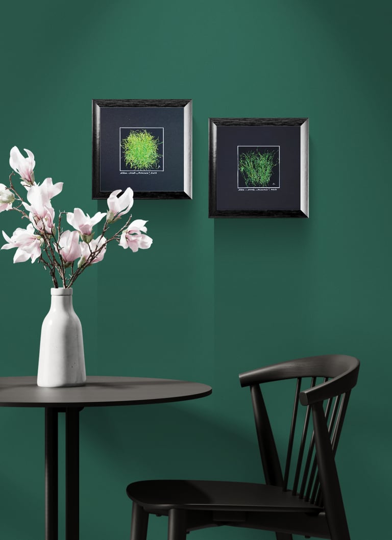  Olka Schok #FilsFreeTechnique  Little treasures