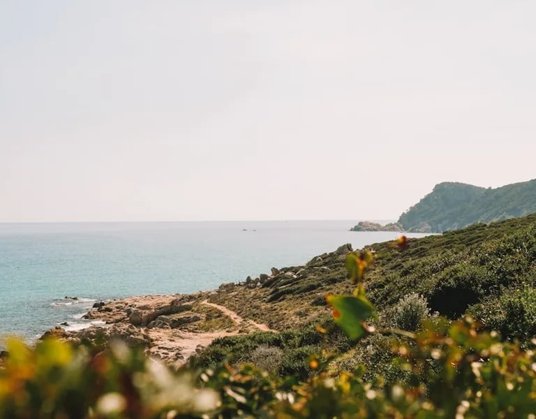 randonnée près de la mer en région PACA