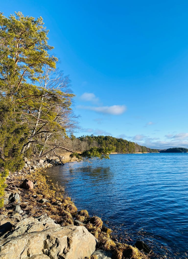 Widok n archipelag sztokholmski z okolic Vaxholm