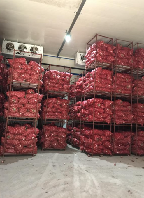 Onion cold storage room interior