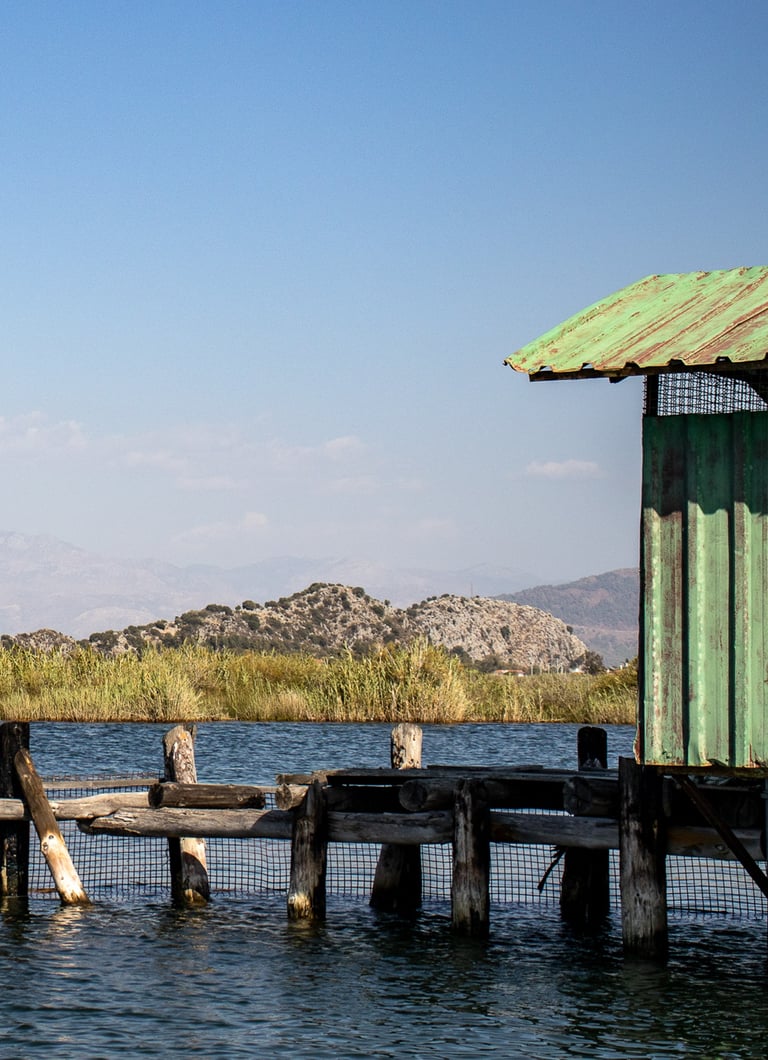 Dalyan delta