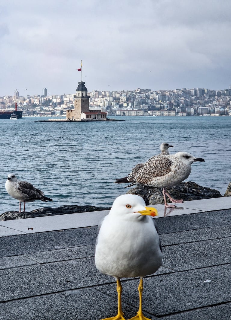 Maiden Tower - Kiz Kulezi