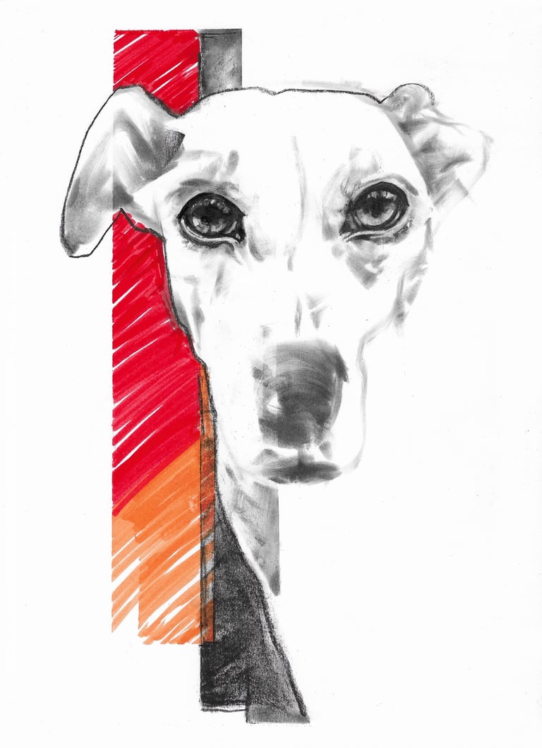Black and white charcoal sketch of a greyhound dog face with a vibrant red and orange graphic background.