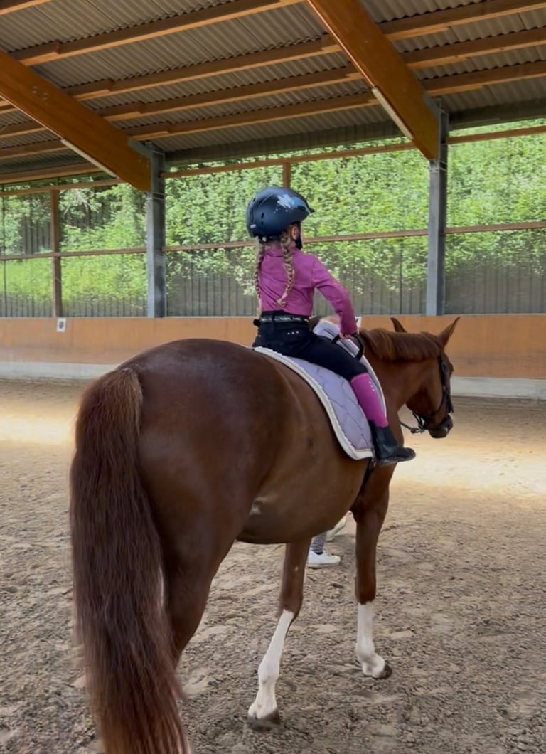 A young girl wearing a helmet and pink shirt riding a chestnut horse. Ponytante