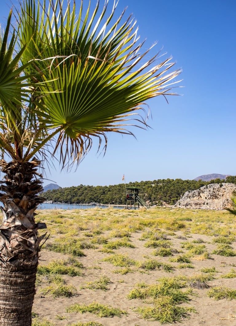 Iztuzu beach