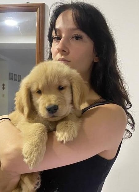 especialista en cachorros