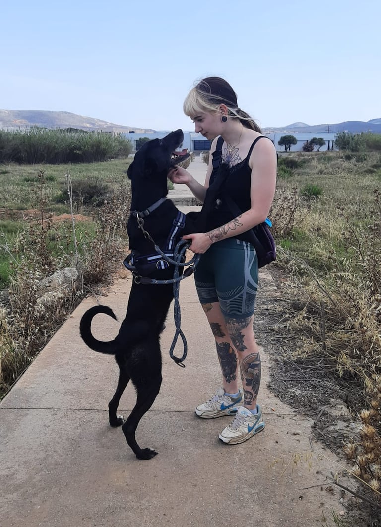 Mel mit schwarzem Hund