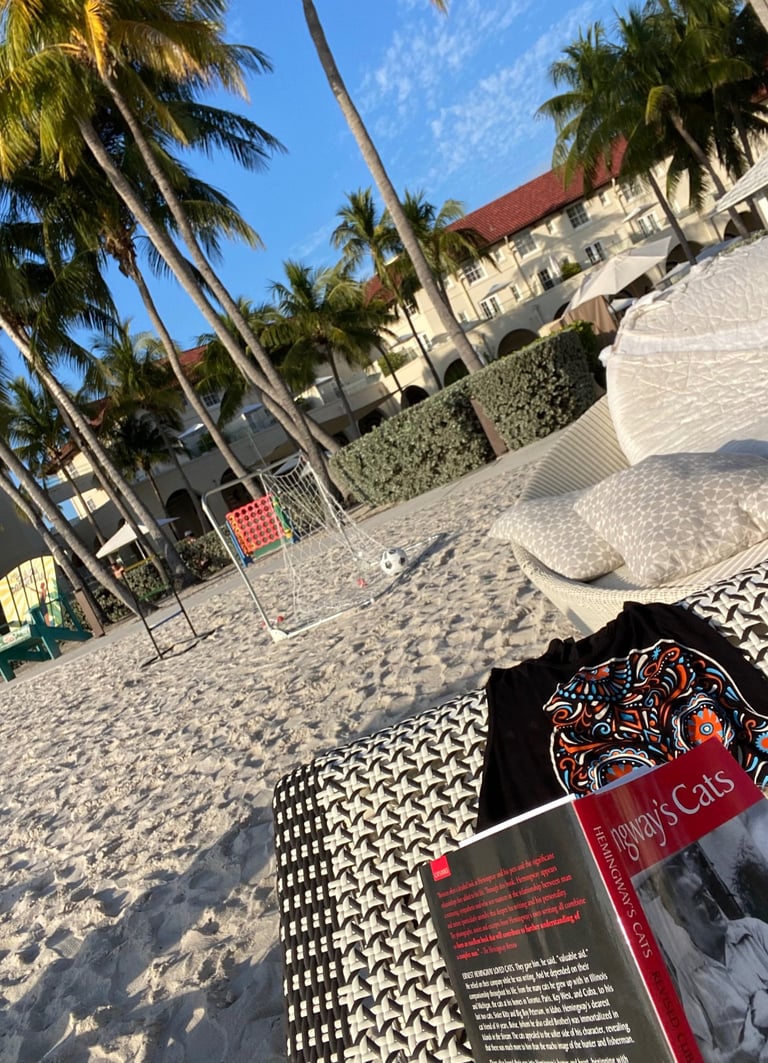 Tilted view from Casa Marina Waldorf Astoria