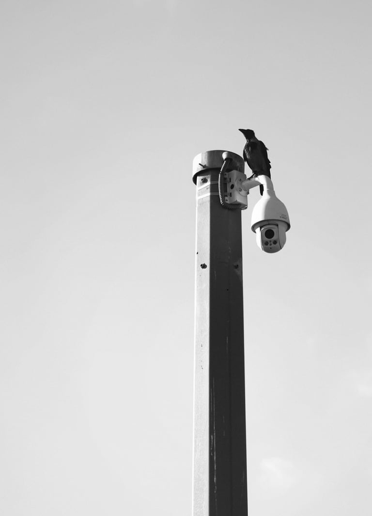 CCTV5