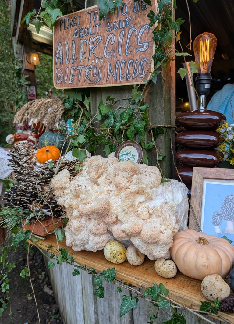 A display of mushrooms, pumpkins, and a food allergy sign at an outdoor market stall.