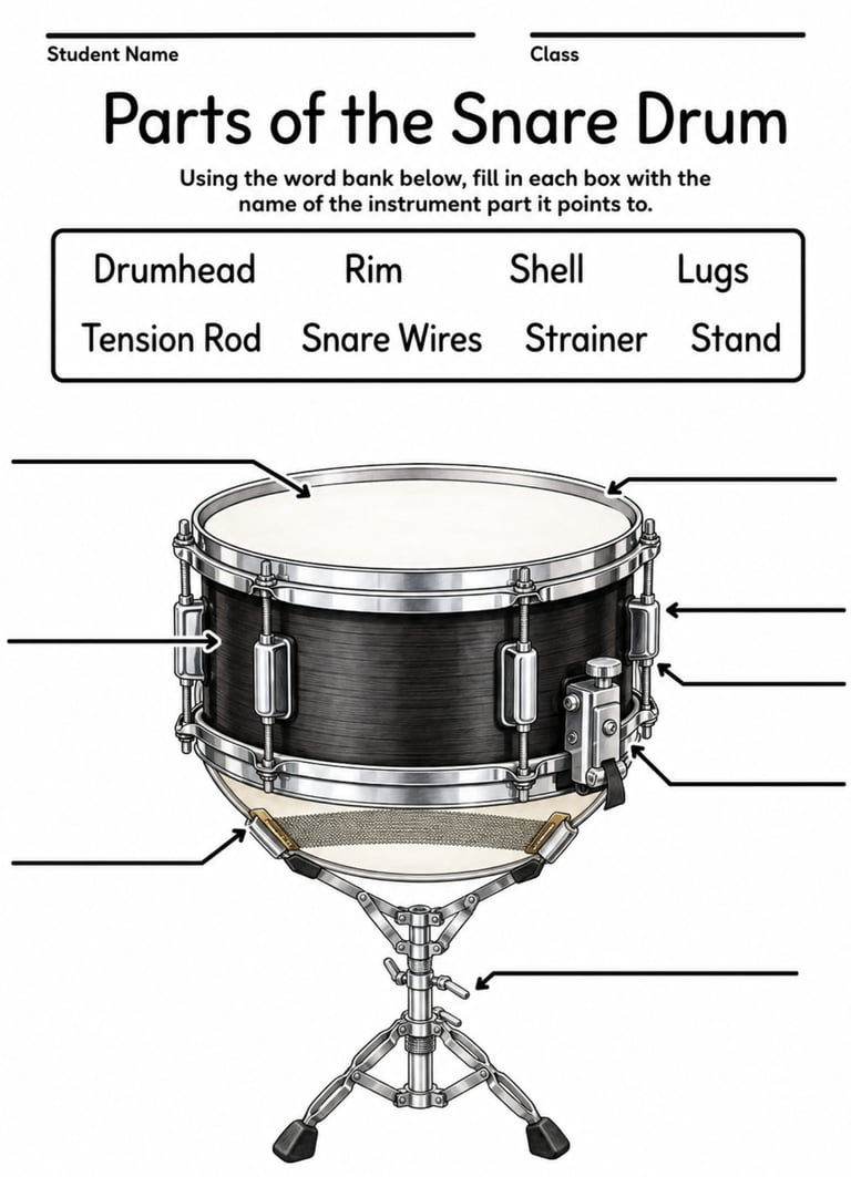 Parts of the Snare Drum