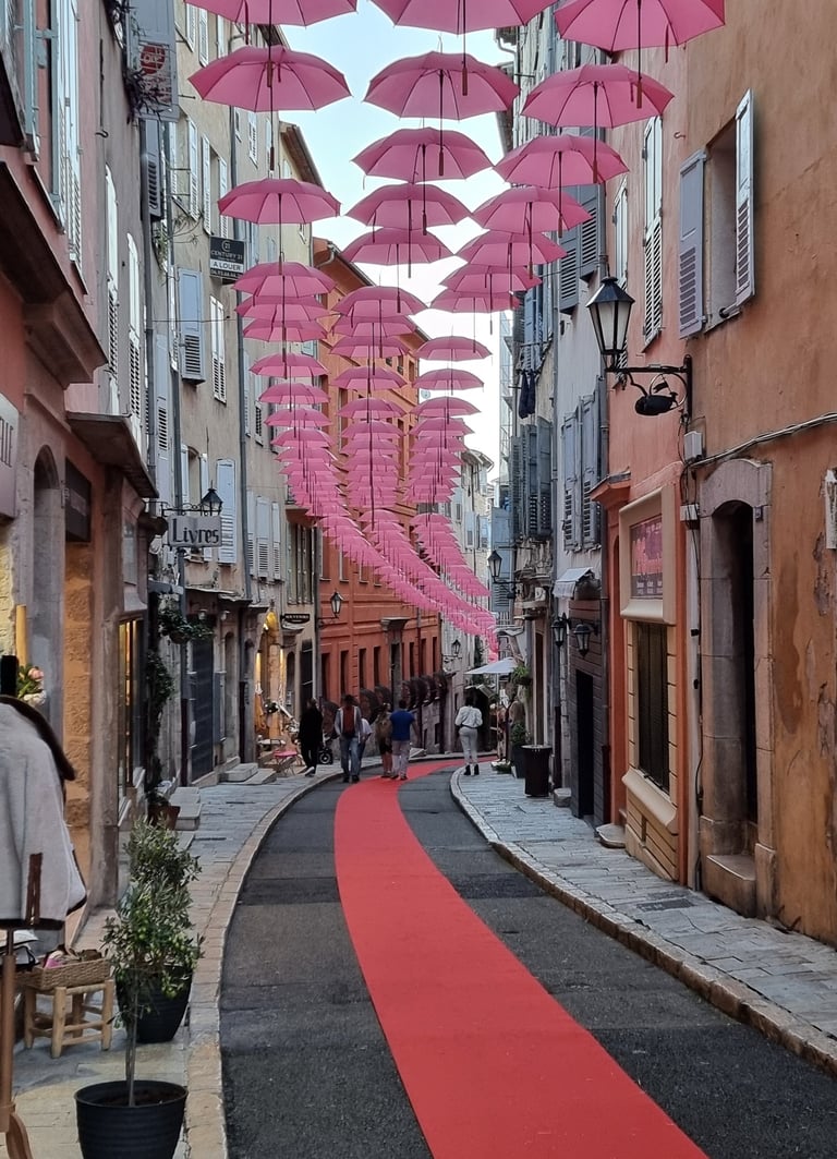 French Riviera Tour Grasse