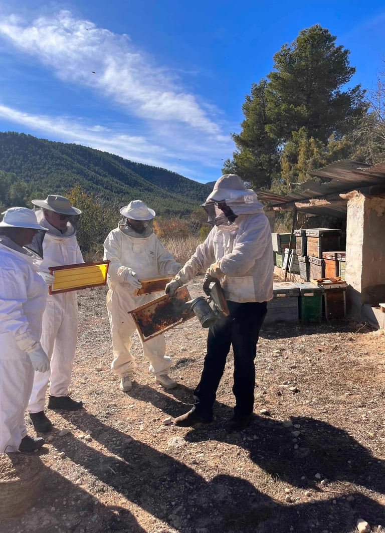 dagtour bijen imker bullas 