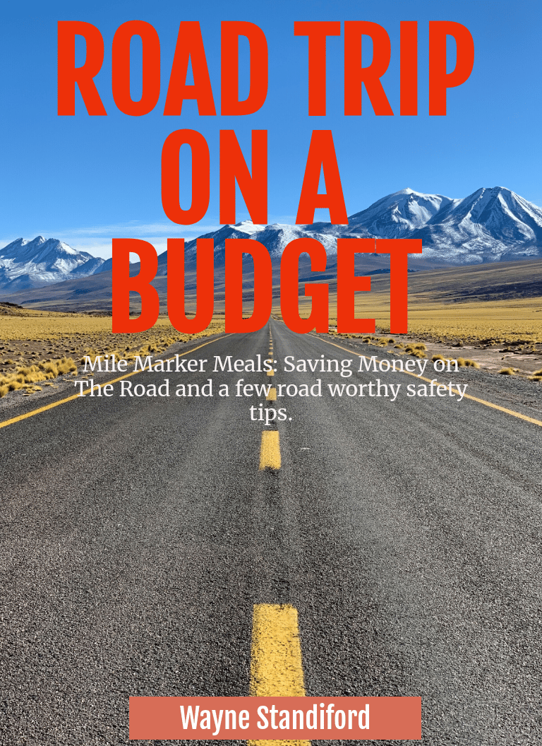 Road Trip on a Budget book cover featuring a desert highway leading to snow-capped mountains.