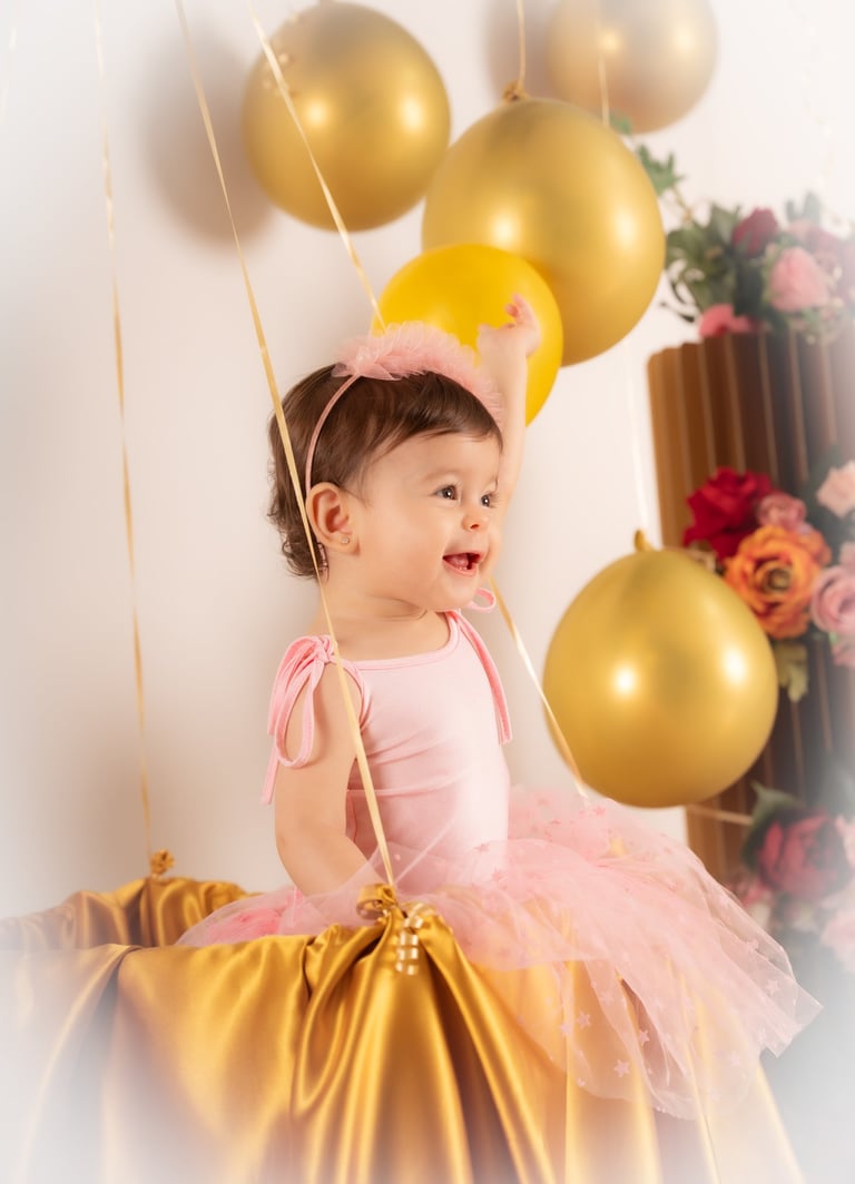 a baby girl in a pink dress and a crown crown