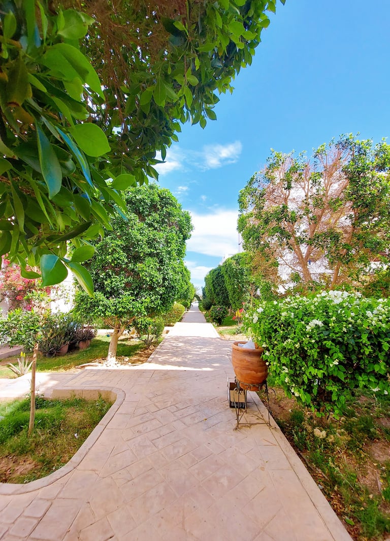 buy rent sell real estate 2 bedroom riviera sharm naama bay first floor