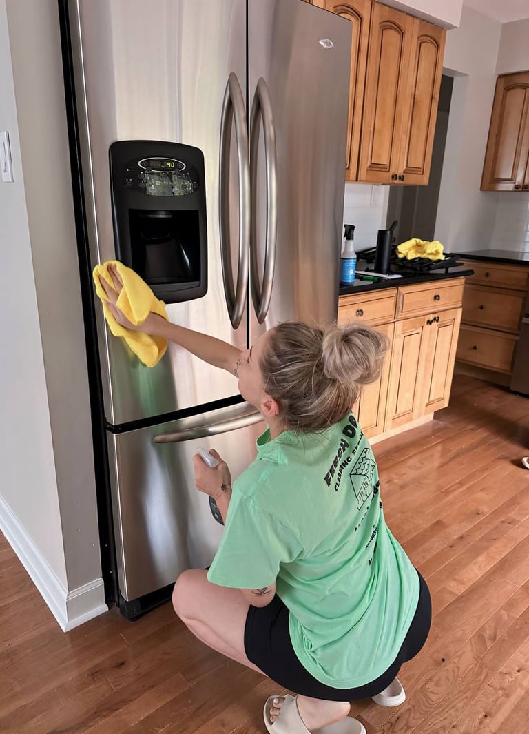 A professional cleaner thoroughly cleans the fridge
