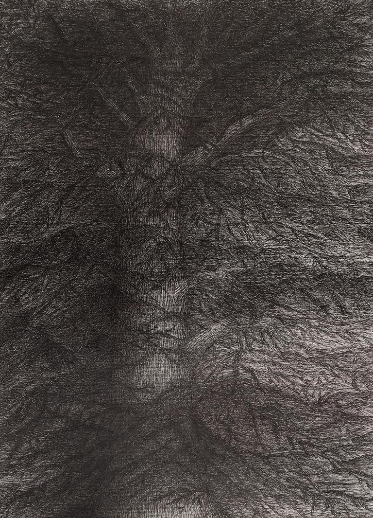 dessin encre noire