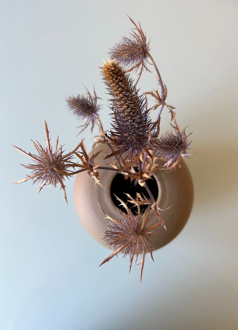 a vase with a plant in it