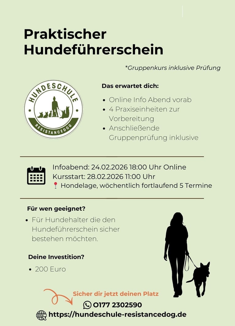 Das Bild zeigt den Flyer Gruppenkurs praktischer Hundeführerschein der Hundeschule ResistanceDog in