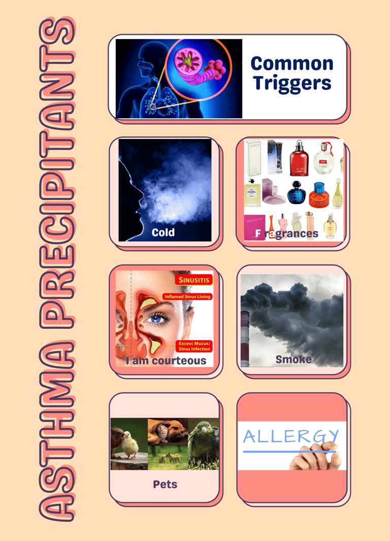 Asthma triggers  common controllable 