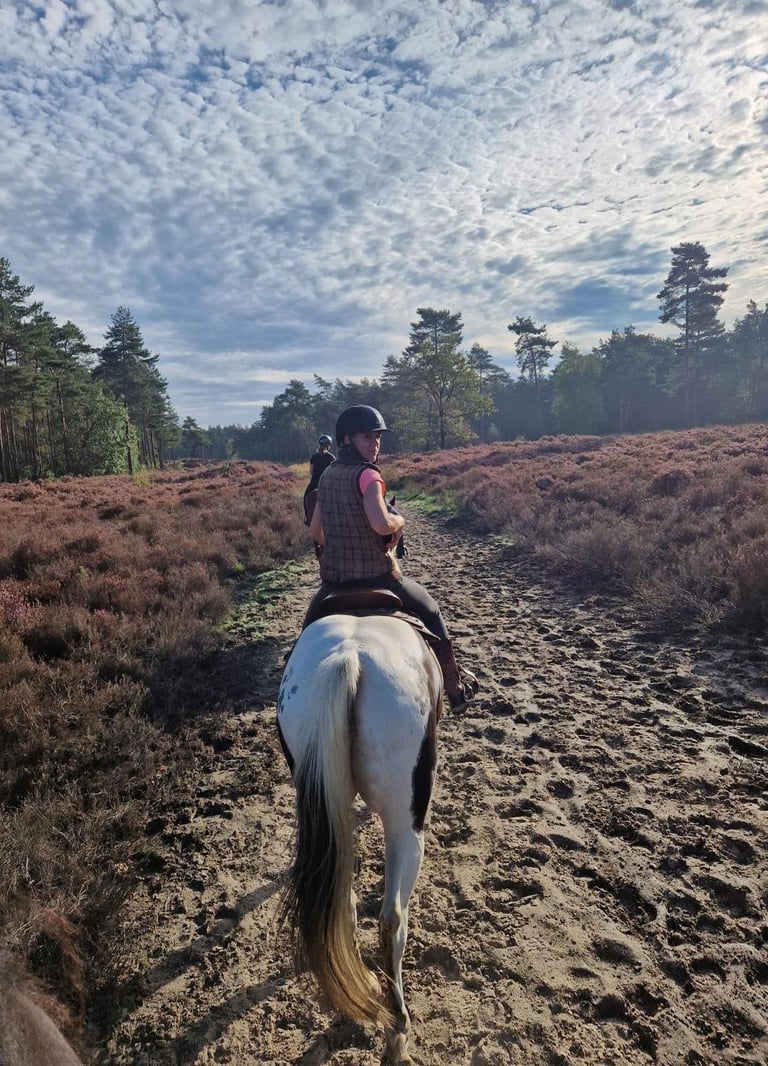 Cowgirl op haar paard door de natuur