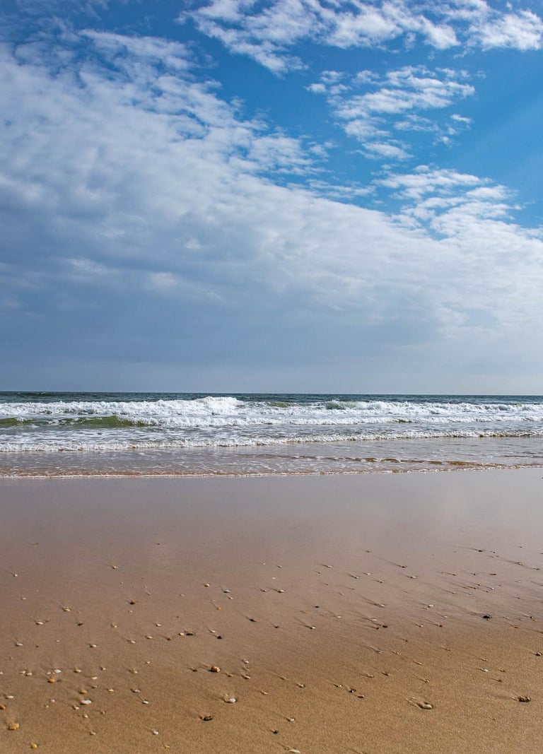 a person standing on a beach with a surfboard