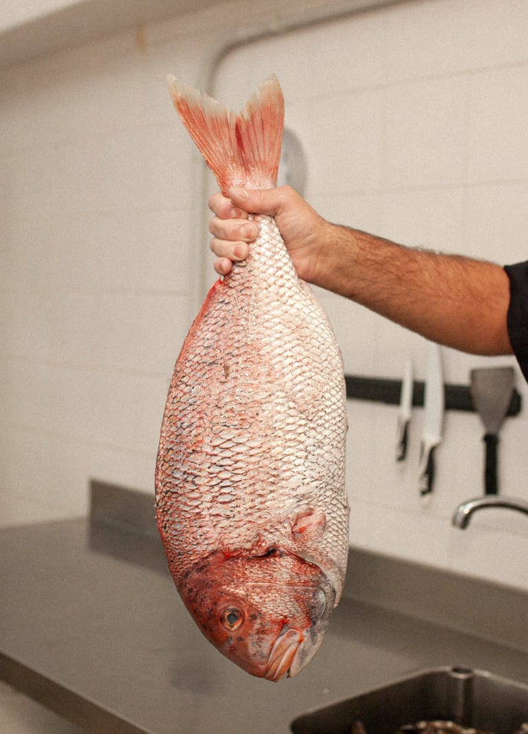 Pescado fresco para disfrutar entre amigos de un suculento plato de gastronomía de primer nivel    