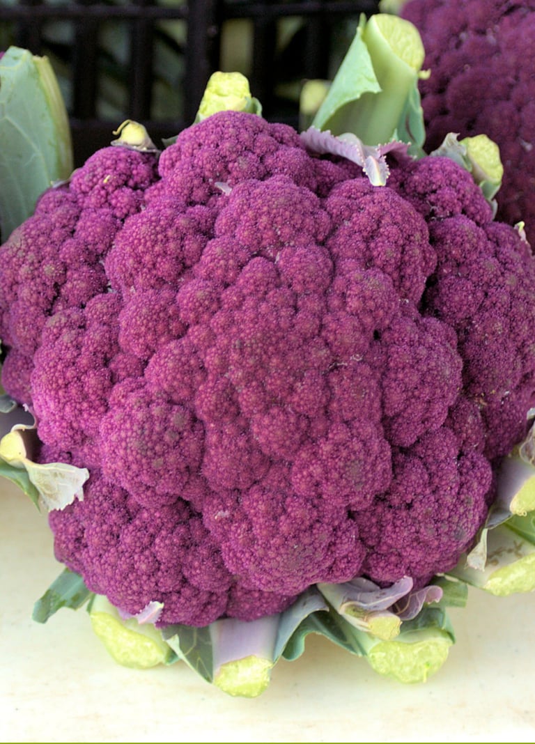 Italian Cauliflower Di Sicilia Violetto