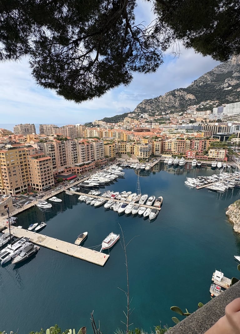 Port de Fontvieille