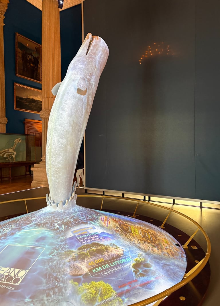 Musée Océanographique de Monaco