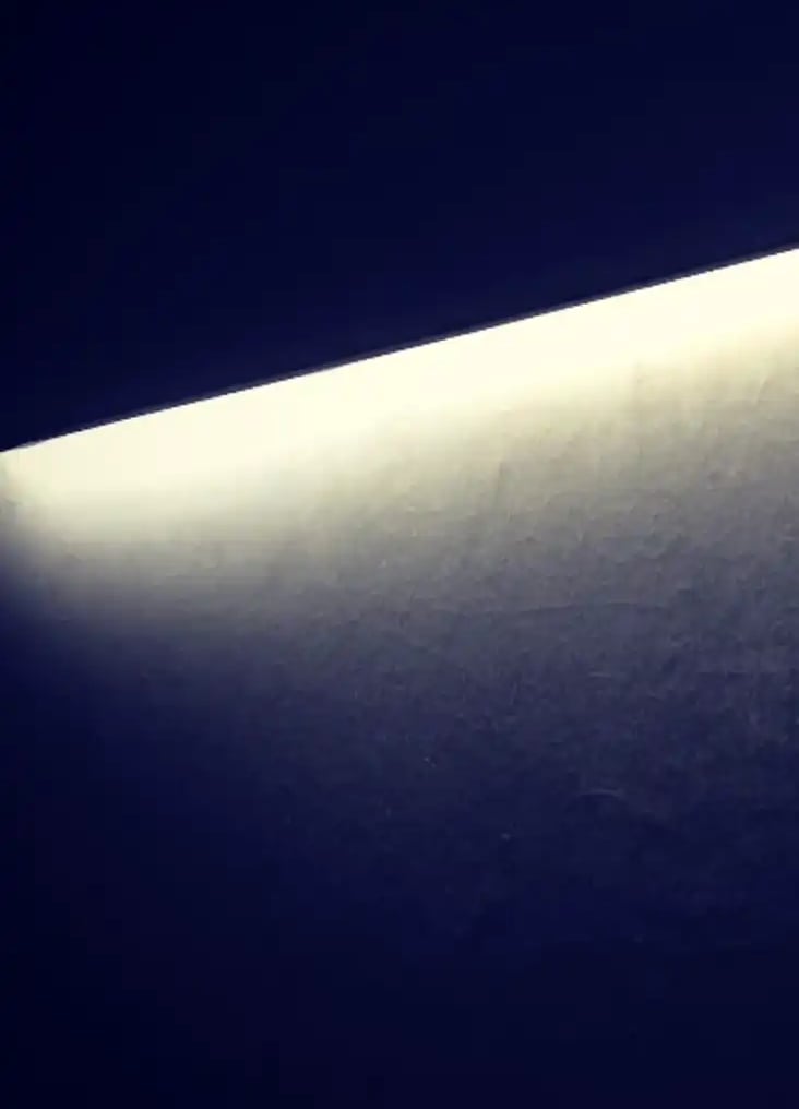 digital art, video installation,  joanna wlaszyn