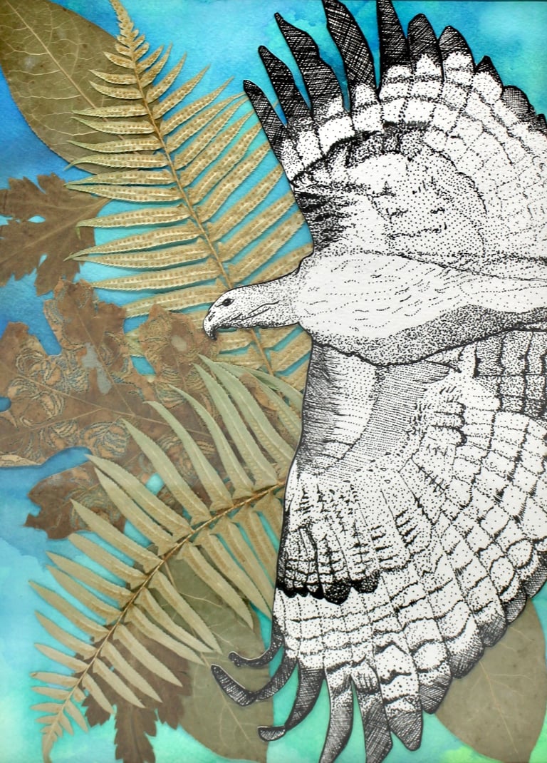 a drawing of a red hawk with pressed leaves in the background