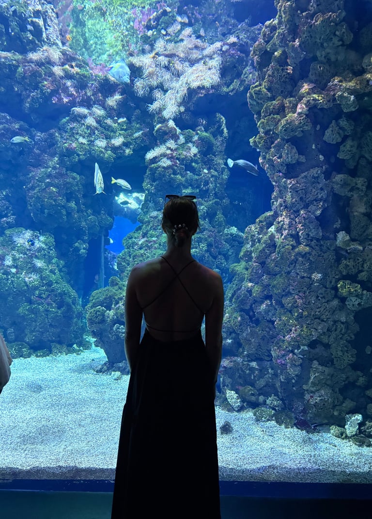 Musée Océanographique de Monaco